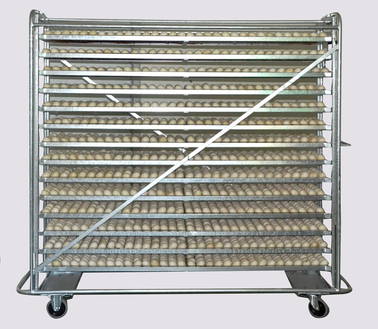 chariot-long-incubateur-goldegg