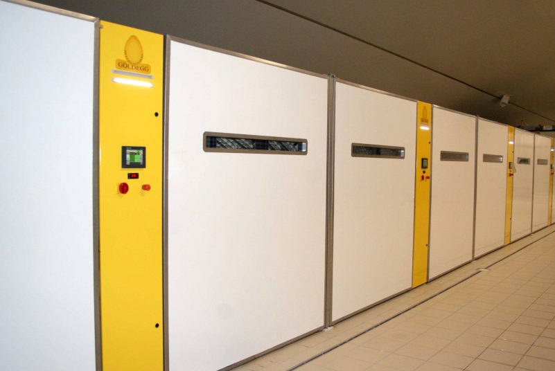 goldegg-incubateur-oeuf